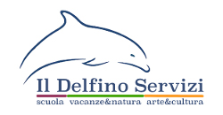 delfino_servizi